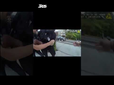 Armed suspect tries to flee police on scooter. Gun and fentanyl found after arrest