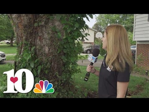 Lightning struck in Knox County during storms, we take a look at the damage