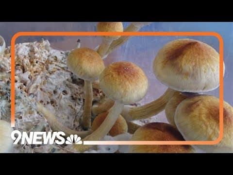 Medical expert shares insight on psilocybin
