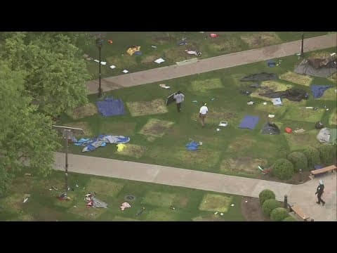 Police in Chicago clear pro-Palestinian encampment