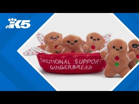 Toy Insider checks out holiday gifts focused on kids' emotional wellness