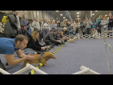 Super Pet Expo returns to Virginia