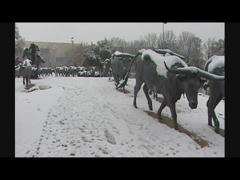 The snowiest day in Dallas history: Feb. 11, 2010