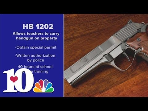 TN lawmakers to review gun legislation