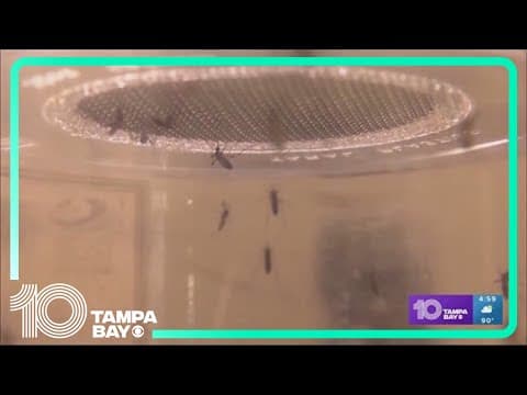 Residents alerted as leaders issue malaria warning in Sarasota County