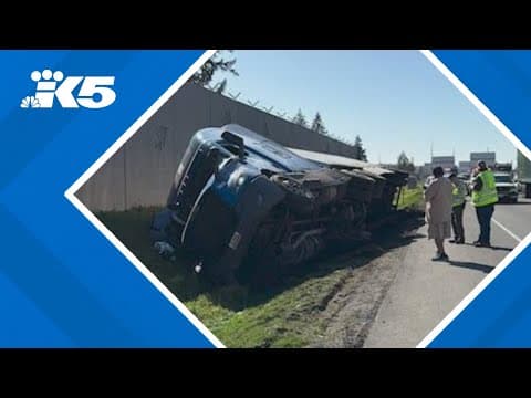 Semi-truck carrying thousands of pounds of dog food crashes along I-5
