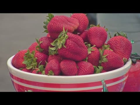 Vista Strawberry Festival | A ‘berry’ good time on Sunday, May 25