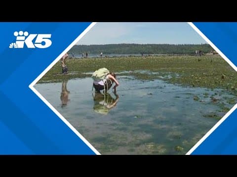 Marine life to be exposed during very low tide this week