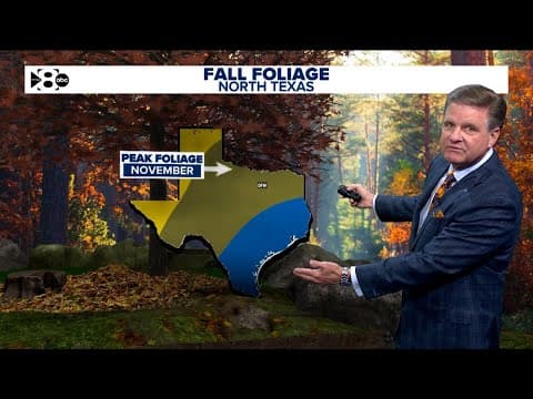 DFW Weather: When can you see peak fall foliage? Warmer weekend with potential Thanksgiving rain