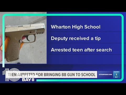16-year-old accused of bringing BB gun to Tampa high school