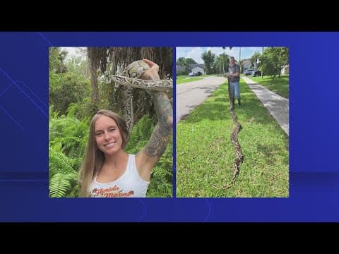 Woman bags 60 pythons to win the state's removal challenge