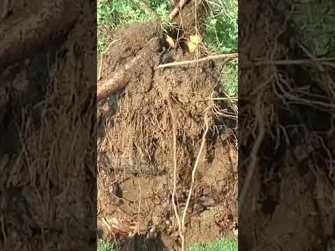 Another night of deadly tornadoes across southern United States