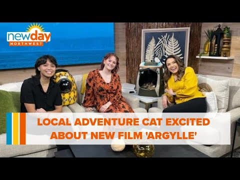 Local Adventure Cat is excited about new film 'Argylle' - New Day NW