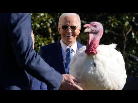 Biden pardons two turkeys, Peach and Blossom, ahead of his last Thanksgiving at the White House