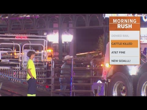 Over 40 cows died when a trailer overturned in Texas, police say