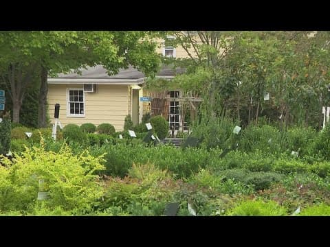 Garden Smart: Spruce up your garden for the Fall