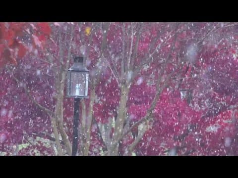Season's first snow falls in the DMV