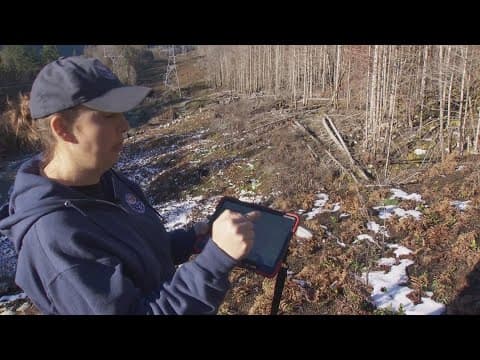 PNW researchers redefining timeline for debris flow risk after wildfires