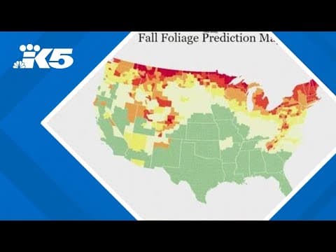 Here's when western Washington will see peak fall colors