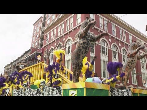 Mardi Gras Live Coverage 8AM: Celebrating Mardi Gras, ZULU Tramps and Walking Warriors roll