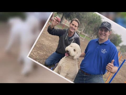 Rent your own private dog park by the hour with Sniffspot