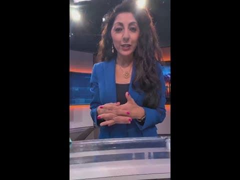 Canine Companions raise awareness to continue mission