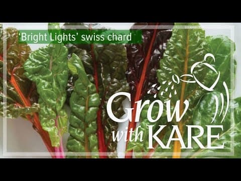 Grow with KARE: Master Gardener seed trials