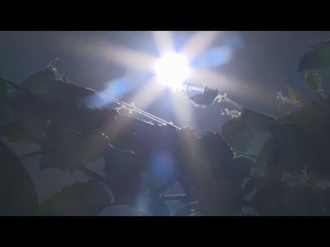 City and county officials discuss heat wave response