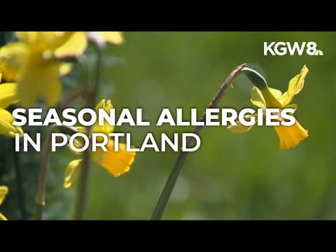 Expert offers advice on fighting seasonal allergies in the Willamette Valley