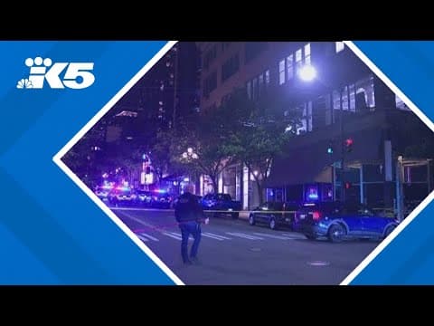 Private citizen shoots suspect in Seattle double shooting