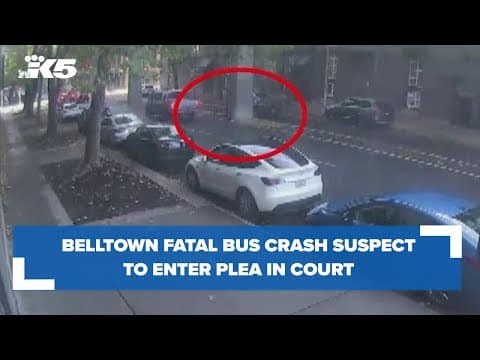 Suspect who caused fatal pedestrian accident to enter a plea in court