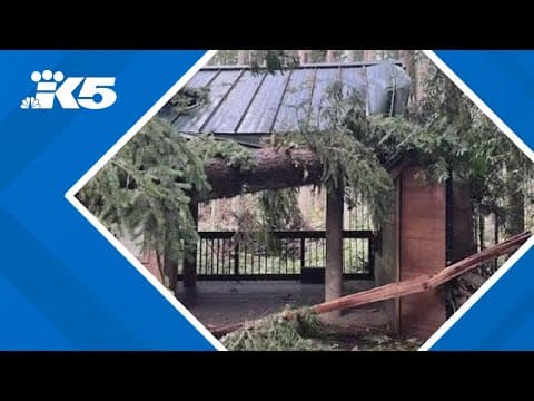 How February's wind storm compares to the deadly bomb cyclone of 2024