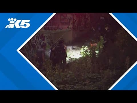 Man who threw objects off Seattle overpass appears in court