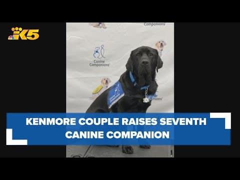 National Puppy Day: Kenmore couple raises seventh puppy to become a Canine Companion