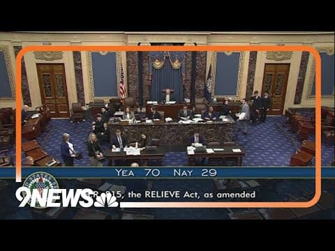 Senate passes $95 billion foreign aid package