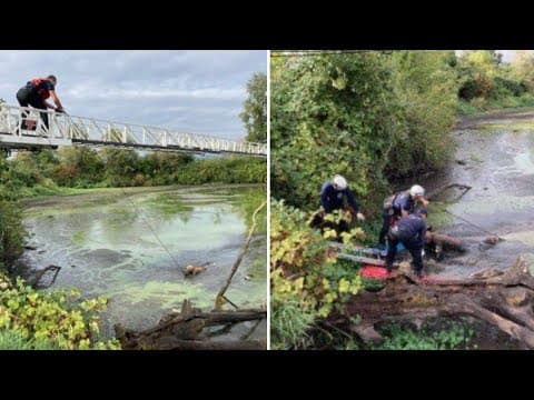 Escaped attempted murder suspect found in Portland pond, stuck in mud