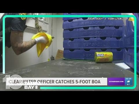 Florida officer catches 5-foot boa constrictor inside business