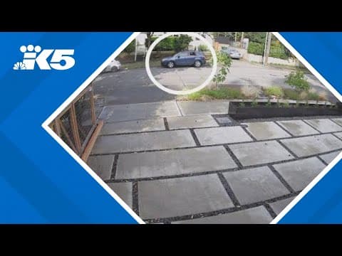 New video shows moments of deadly carjacking of beloved 80-year-old dog walker in Seattle