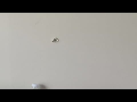 Bullet barely misses sleeping teen in Speedway