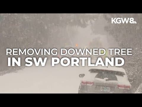 Crews work to remove downed tree on power line in Southwest Portland in heavy snow