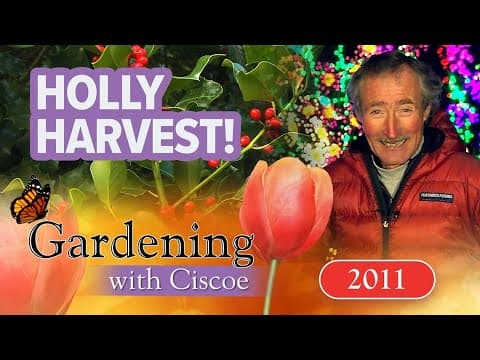 HOLLY HARVEST! Pretty & Prickly Holiday Plants! | Gardening With Ciscoe | Full Episode