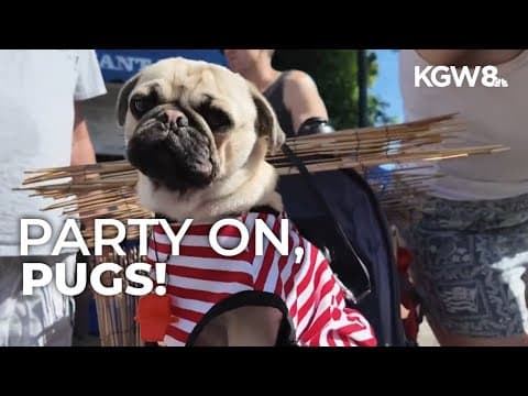 Pugapalooza takes over Portland Saturday Market
