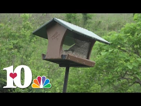 Fun for all at Seven Islands State Birding Park