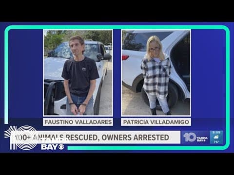 Over 100 neglected animals found on Citrus County couple’s property, sheriff says