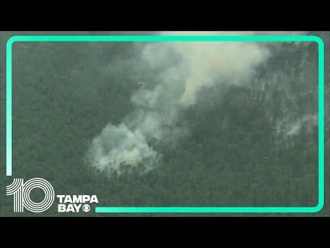 Crews battle 25-acre New Jersey wildfire