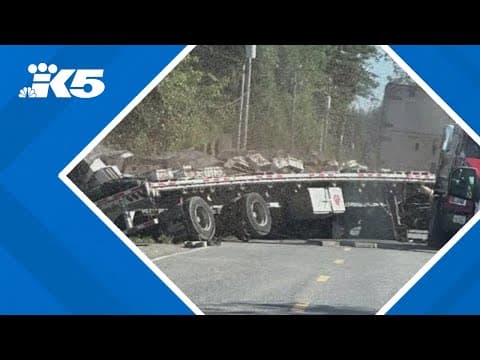 Semi-truck carrying 250 million bees crashes in Whatcom County. Now the bugs are on the loose