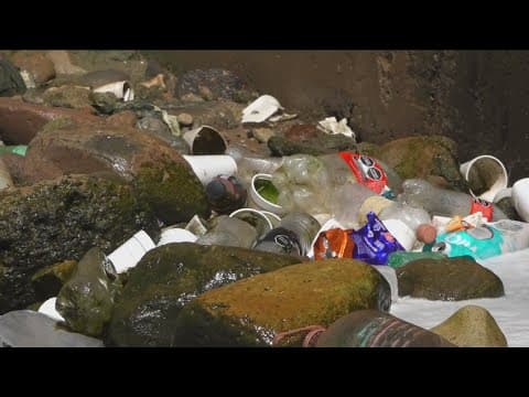 Local leaders to unveil new warning signs at major Tijuana River Valley sewage hot spots