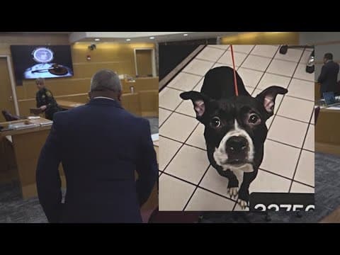 'Dexter the dog' trial: Jury delivers verdict in gruesome animal cruelty case