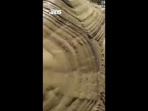 70 pound tortoise rescued by Snohomish Co. deputy