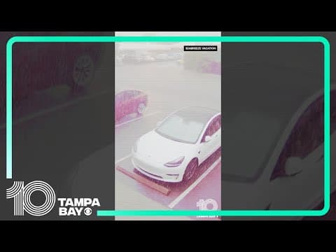 Lightning strikes Florida business, causing fire on Anna Maria Island